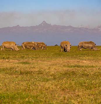 Laikipia