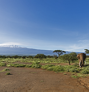 Amboseli National Park