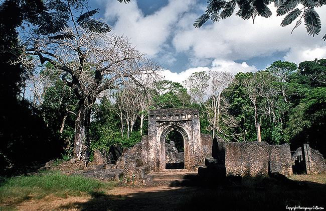 Gedi Ruins