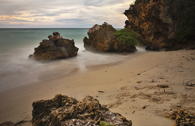 The Kenyan Coast