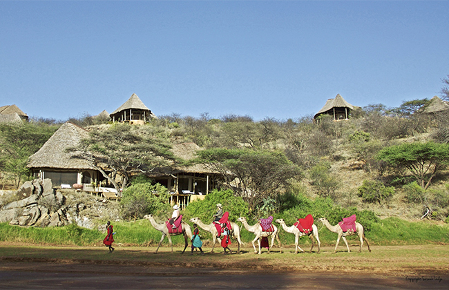 Camel Safaris in Samburu