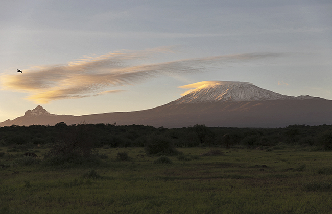 Mt. Kilimanjaro