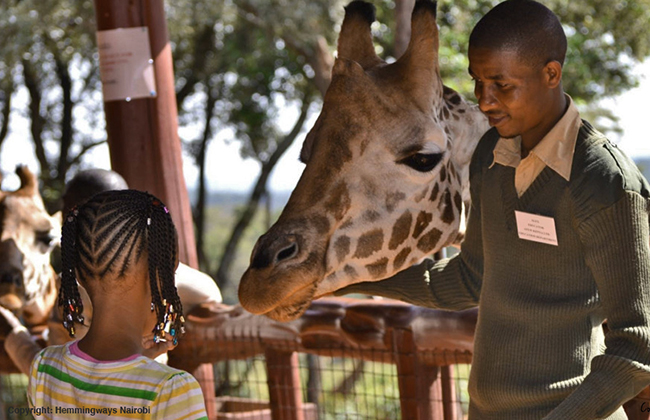 Nairobi's Giraffe Center