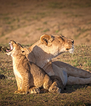 Akagera National Park