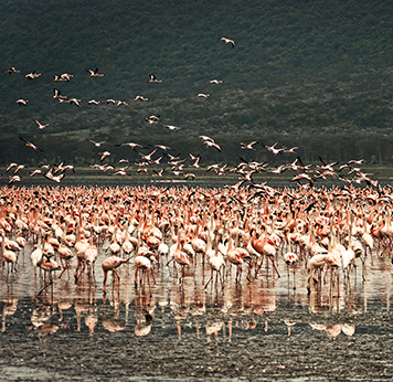 Great Rift Valley