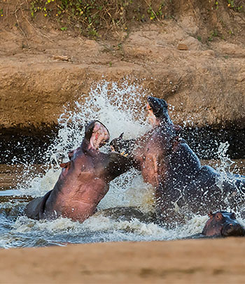 Katavi National Park