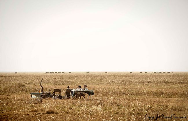 Remote and Untouched Wild Katavi National Park