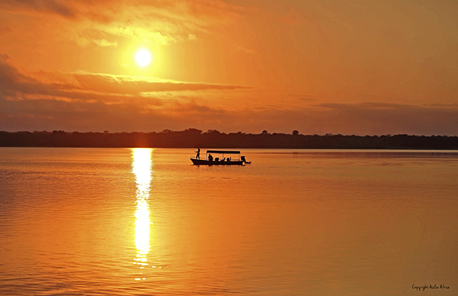 Boat Safaris in Selous Game Reserve