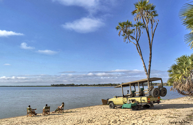 Game Drives in Selous National Park