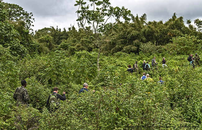 Hiking in Volcanoes National Park