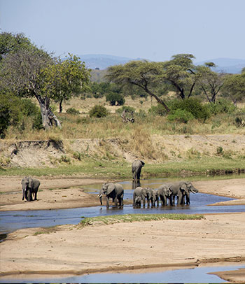 Selous Game Reserve