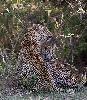 Serengeti National Park