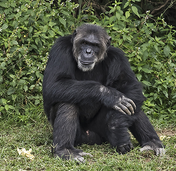 Kibale National Park