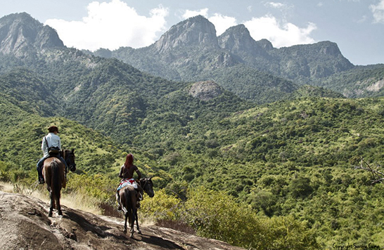 Horse Riding in Mathews Range