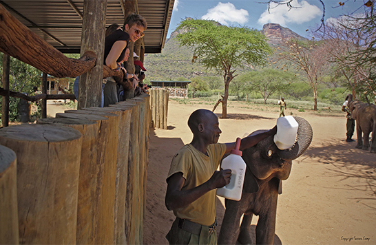 Reteti Elephant Sanctuary