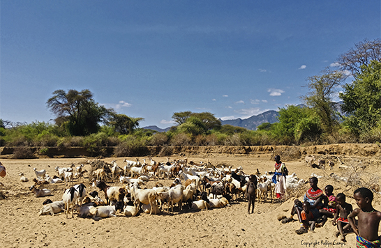 Samburu Singing Wells