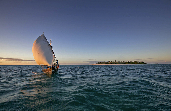 Dhow Sailing