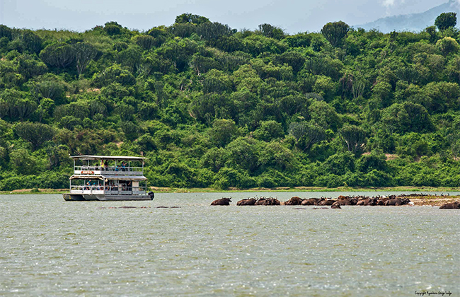 Kazinga Channel Boat Trips