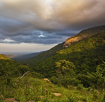 Mathews Range