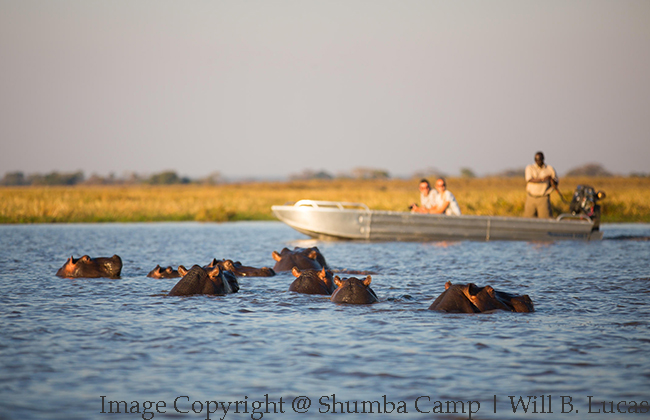 Boat Cruise in Kafue National Park