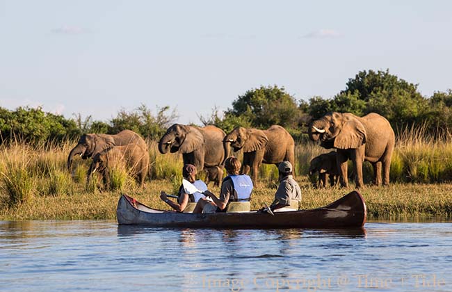 Canoe Safari in Lower Zambezi National Park