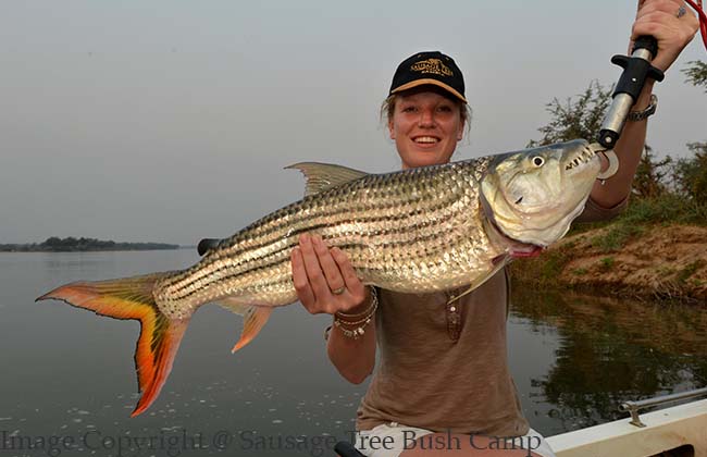 Fishing in Lower Zambezi National park