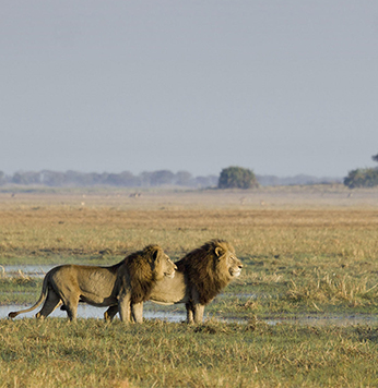 Kafue National Park