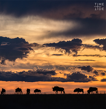 Liuwa Plains National Park