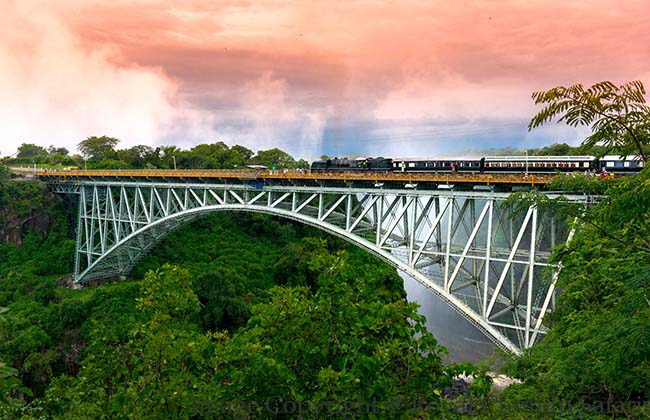 Steam Train in Livingstone