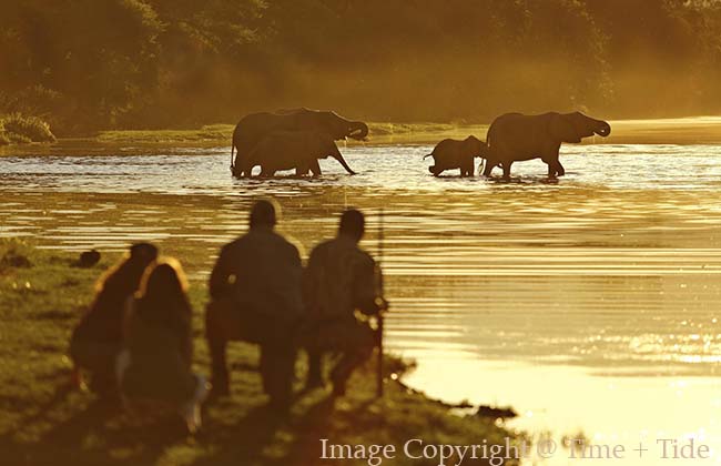 Walking Safaris in Lower Zambezi