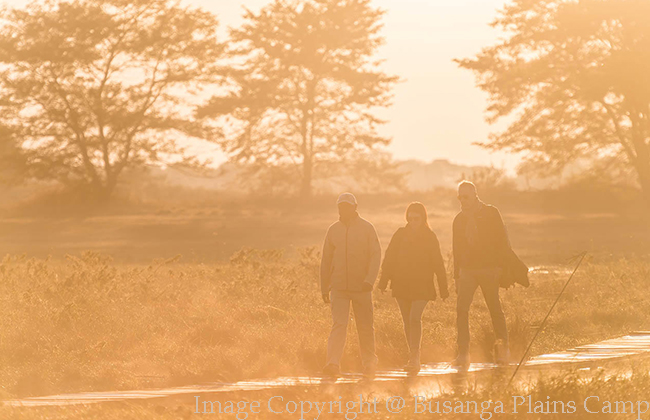 Walking Safari in Kafue National Park