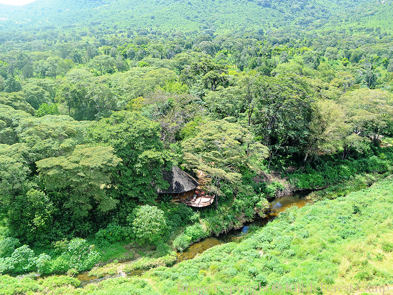 Aerial View of Kitich Forest Camp