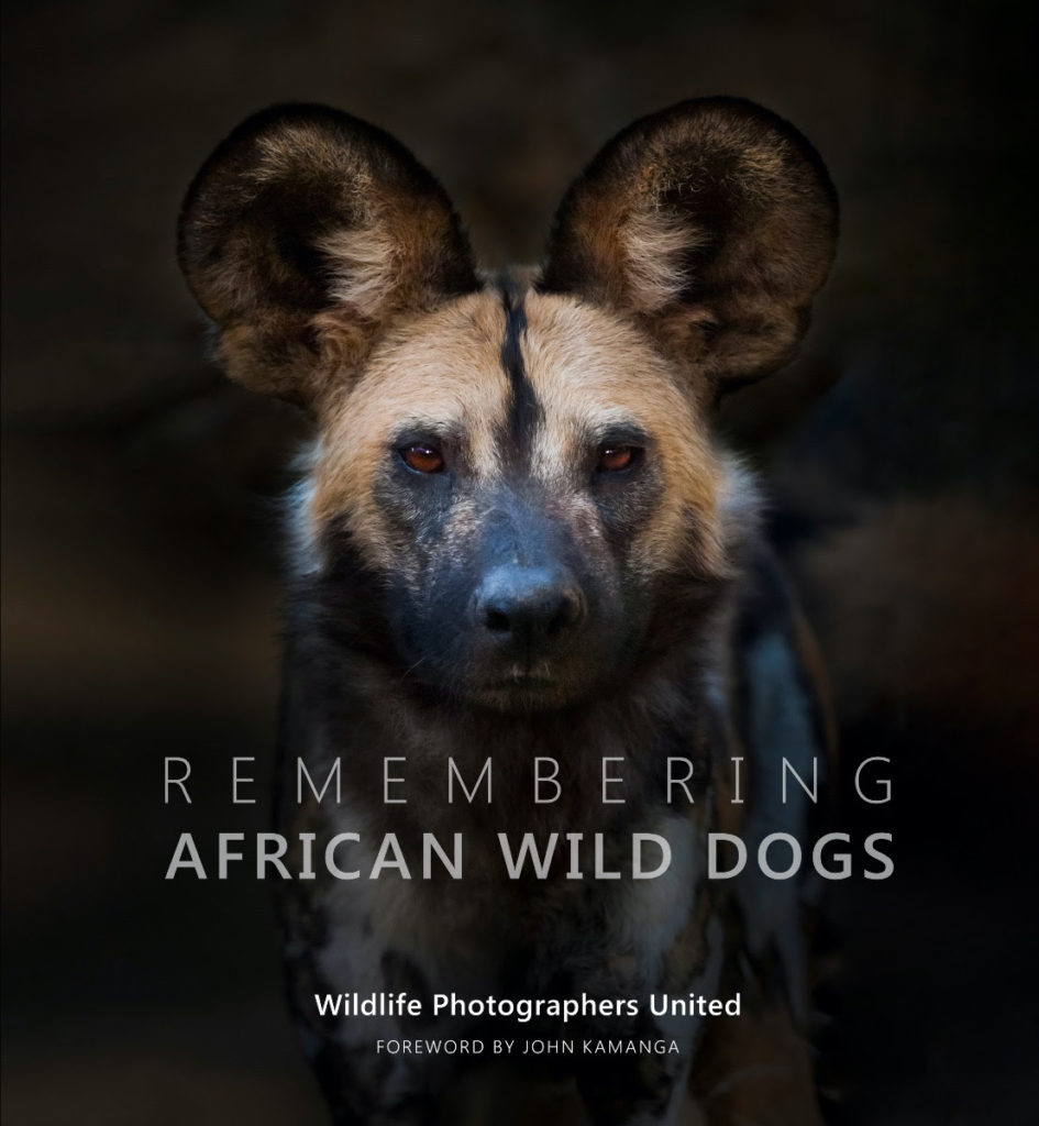 Remembering Wildlife: Wild Dogs
