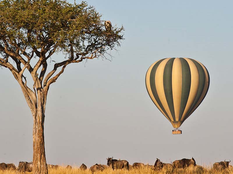 Hot Air Balloon Safari in Masai Mara