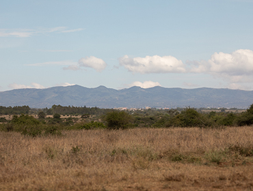 Ngong Hills