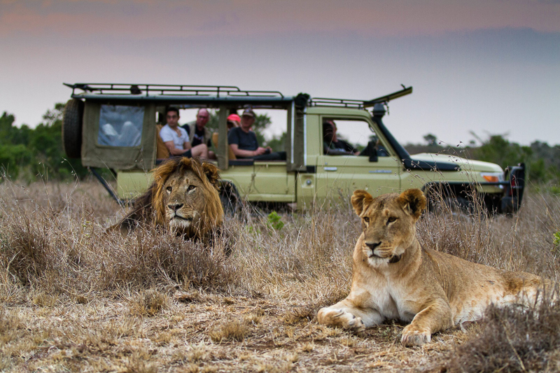 Wildlife Viewing at Mugie Conservancy