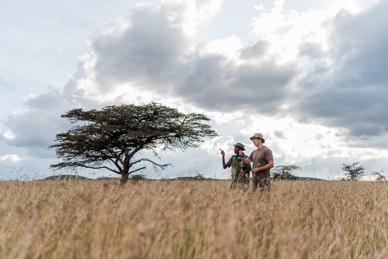 Bush Walks on Mugie Conservancy