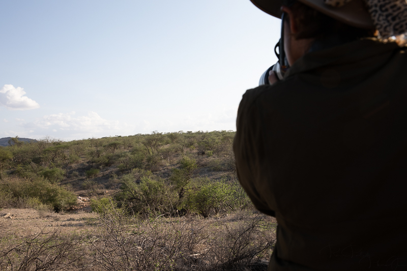 Black Rhino Tracking at Sera Conservancy