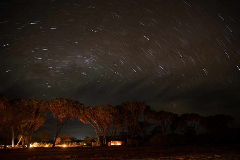 Star Trails over Saruni Rhino surrounded by doum palms. 