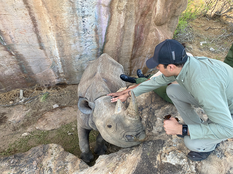 Loijipu - the Rescued Black Rhino at Sera Wildlife Conservancy