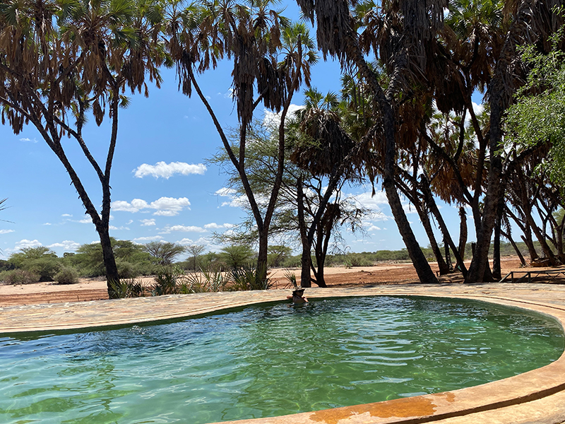 Saruni Rhino Swimming Pool