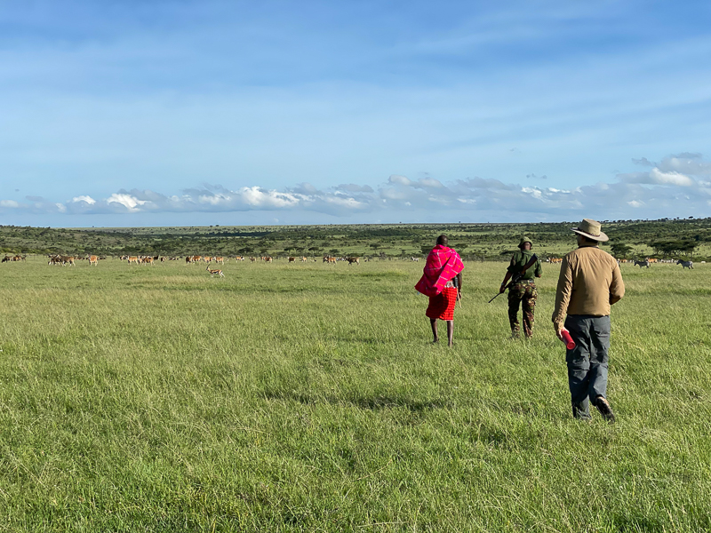 Walking Wilderness Safari