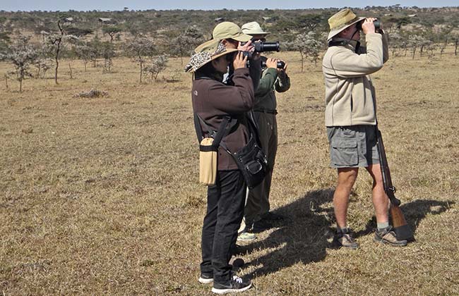 Guided Safari Walks